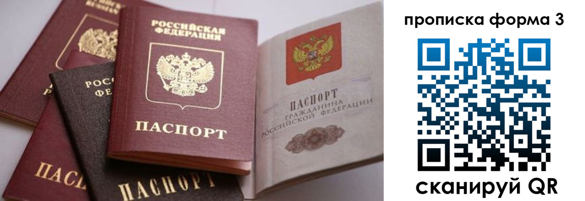 прописка для школы в Вологодской области